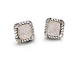 Shimmering Charm Earrings